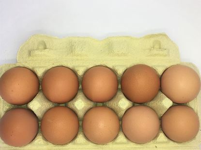 Bild von Eier